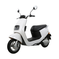 新大洲电动车 PARRAY电瓶车60V20AH电动轻便摩托车PR600DQT-8 N1