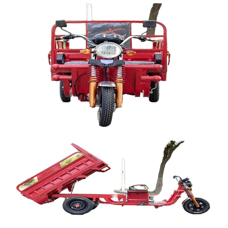 电动三轮车拉货载重王三轮电动电瓶车家用大型农用三轮车