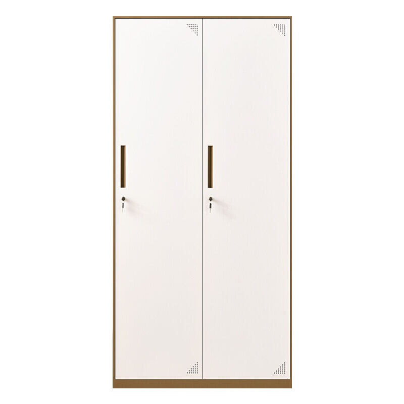 [一鹏]更衣柜棕色二门拆装员工储物柜更衣柜存包柜