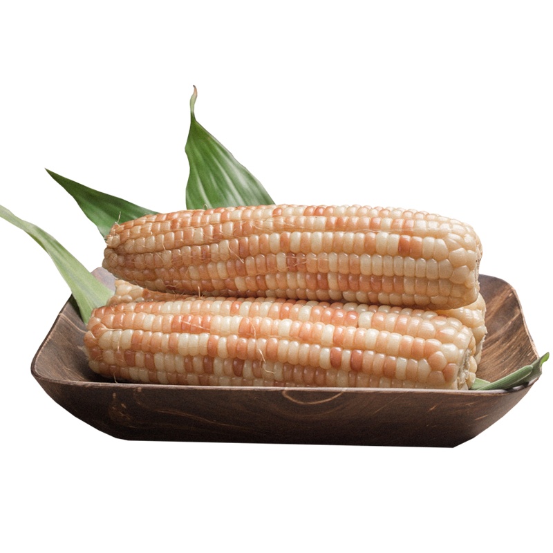 西双版纳香糯小玉米 2斤 健康粗粮 软糯香甜 开袋即食 隔水加热口感佳 严选精品 商超品质