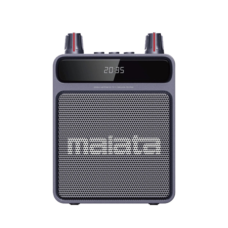 万利达 Malata TE610有线小蜜蜂扩音器教师专用大功率麦克风导游便携喇叭耳麦播放器喊话器 小蜜蜂灰色