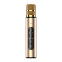 索爱(soaiy)专业麦克风家用电视唱歌K歌卡拉OK MC20(香槟金)