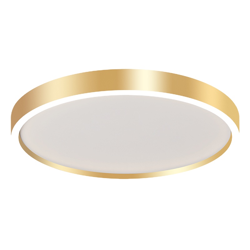 阿丹娜 新款简约现代LED铝材吸顶灯豪华现代客厅灯温馨卧室个性北欧风新款灯具01