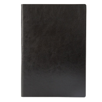 Free BIZ A5皮面笔记本 文具笔记本子