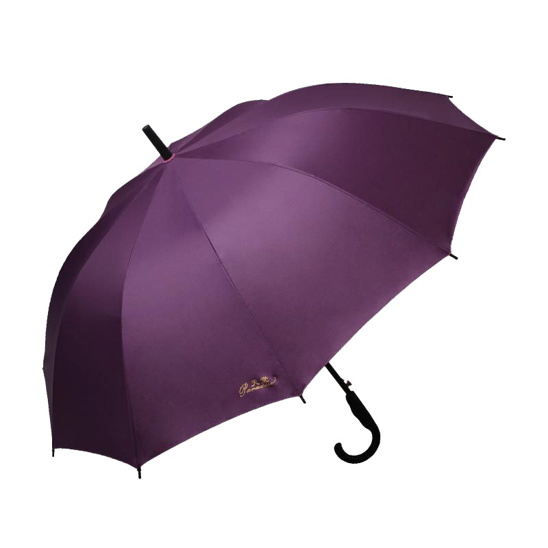 天堂 193E碰击布直杆自开商务伞晴雨伞1283