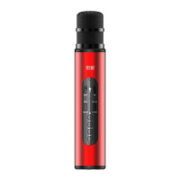 索爱(soaiy)专业麦克风家用电视唱歌K歌卡拉OK MC20(中国红)
