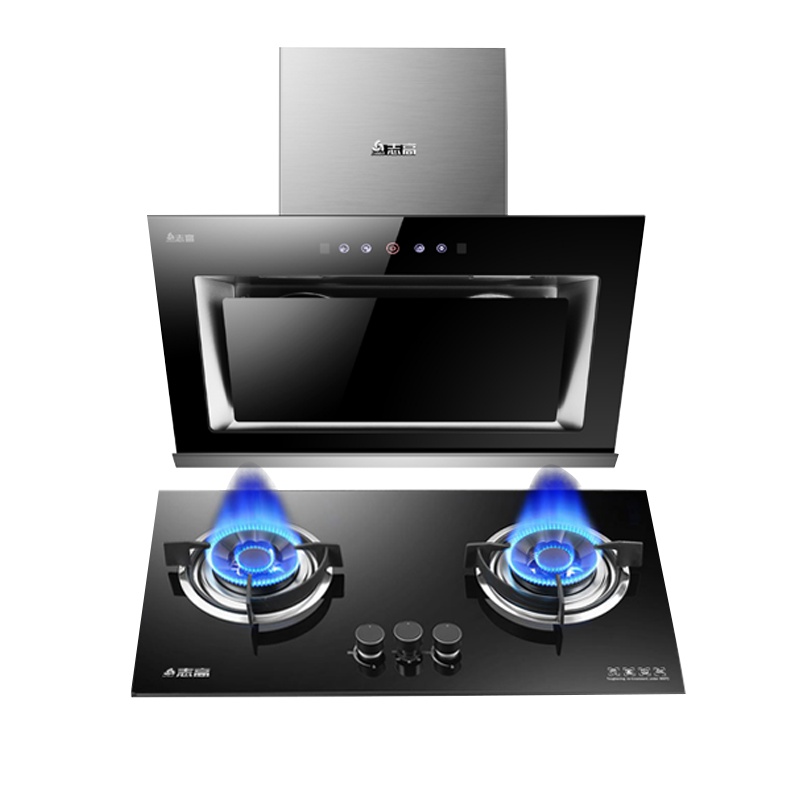 志高(CHIGO)H081E+F216A侧吸式自动清洗家用双电机抽烟机燃气灶具烟灶套餐(天然气)