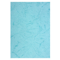 驰鹏 彩色卡纸 A4 浅蓝色 230g 100张/包