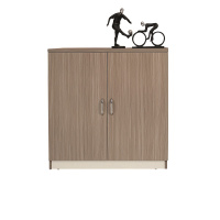 钜晟办公家具板式两门边柜矮柜21F203