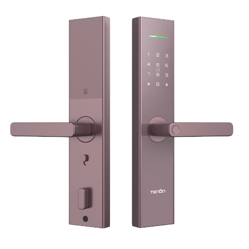 亚太天能(TENON)微信智能指纹锁家用指纹密码锁电子门锁 E11 星芒金