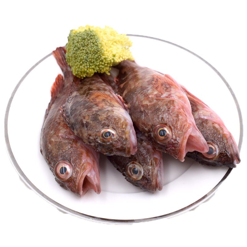 [四海生鲜] 东山岛海捕石翁鱼(14-16条)钙鱼小红斑石狗公奶虎鱼虎头鱼 去肚去腮洗净 新鲜海鲜水产 500克