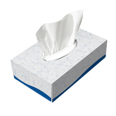 盒装纸餐巾纸 xtl162 纸巾不漂白抽纸100抽 (盒)