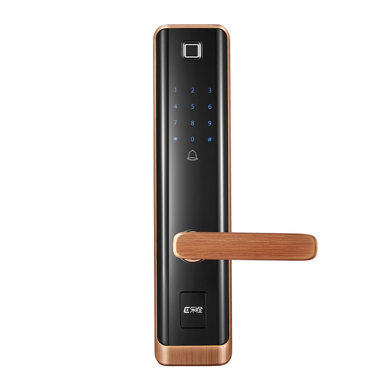 乐橙指纹锁密码锁家用防盗门智能锁电子门锁磁卡锁K6