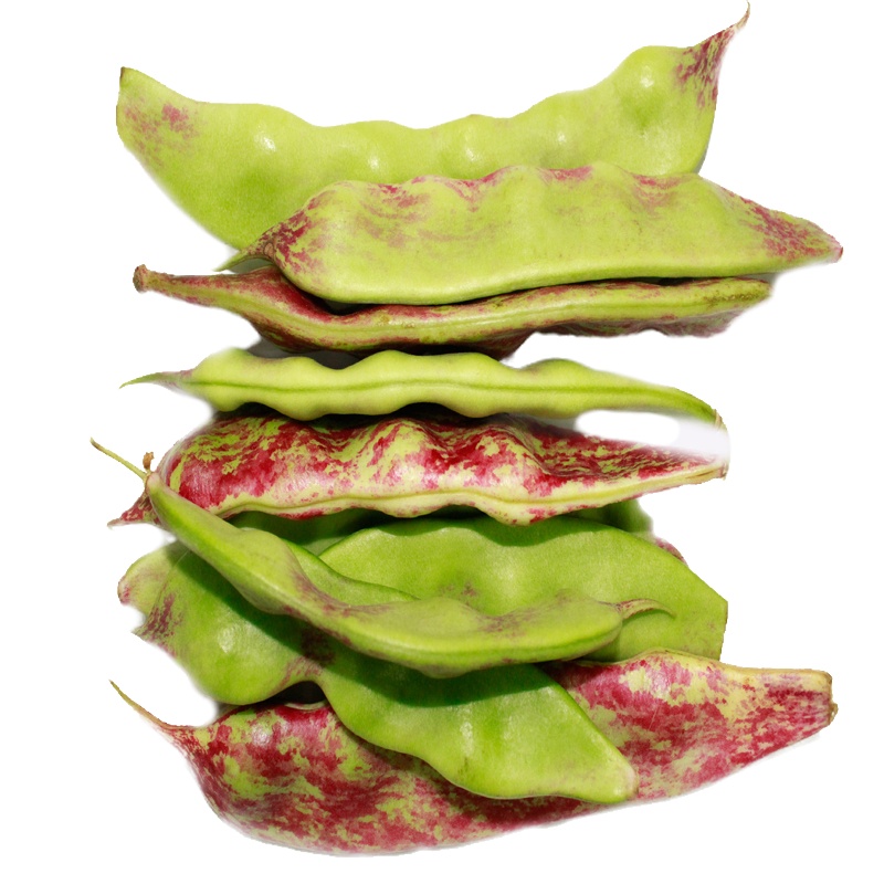 东北油豆角 九月青一点红豆角 新鲜蔬菜 5kg