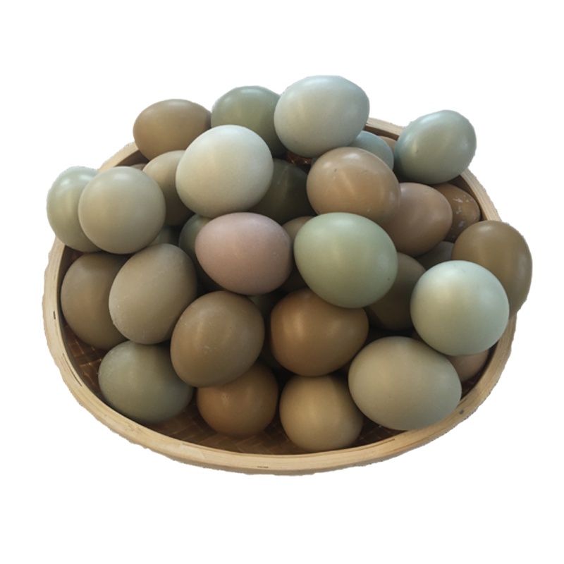 正宗野生散养七彩野鸡蛋30蛋杂粮散养野鸡蛋新鲜农家草土鸡蛋