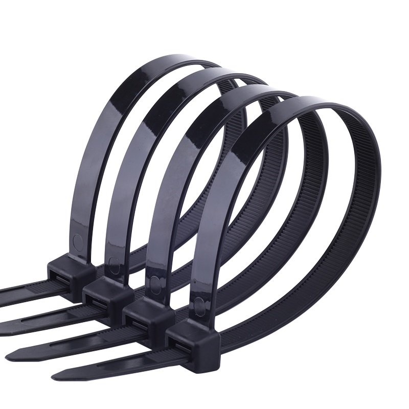 海斯迪克 HKZ-90 黑色自锁式强力卡扣大号扎带 尼龙扎带固定器 10系列塑料捆绑绳