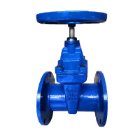 QT450 DN150暗杆软密封闸阀