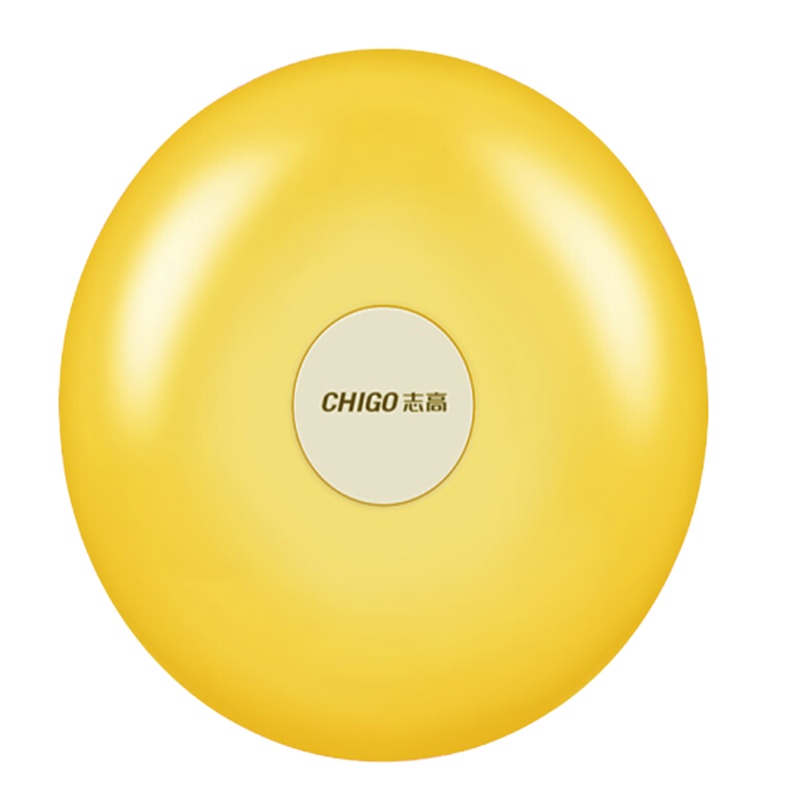 志高(CHIGO)ZG-N12 (01)充电暖手宝 无水电暖宝 防爆送绒布套 绿色