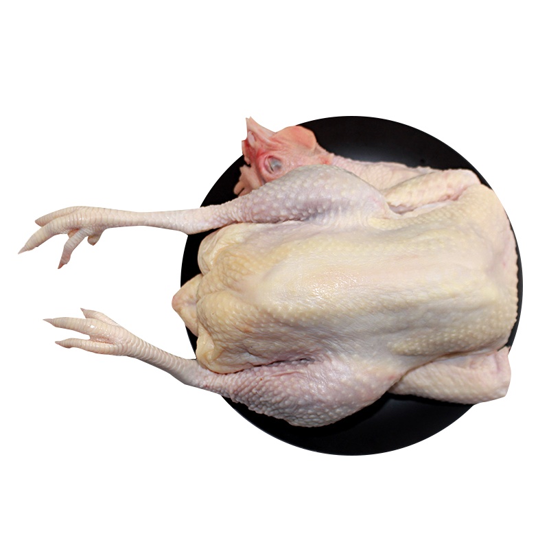 天农优品TINOO S DELICIOUS 国产 海南 文昌鸡 800g/只 新鲜农家散养土鸡 冰鲜禽肉 简装