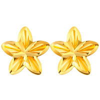 佰色传情18K金耳饰彩金耳环黄金色耳钉五角星立体镂空送女友送闺蜜生日节日礼物