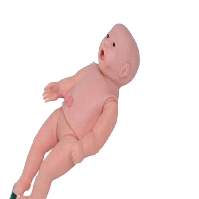 戎兴 教学模具 CPR160 13kg