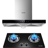 樱雪(INSE)烟灶套装 欧式抽油烟机 大吸力 猛火燃气灶套装F1920(B)W+Q1810(B) 液化气