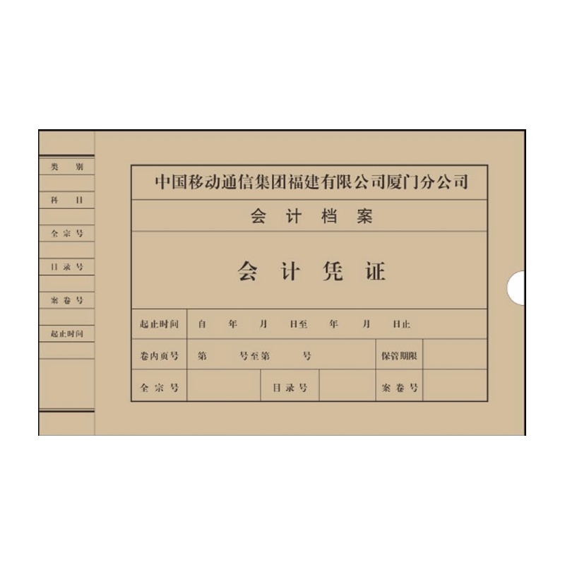 SCP 定制档案盒31X22X4cm 10个装（单位：件）