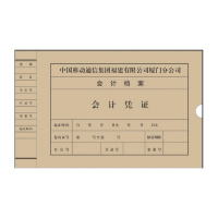 SCP 定制档案盒31X22X4cm 10个装（单位：件）