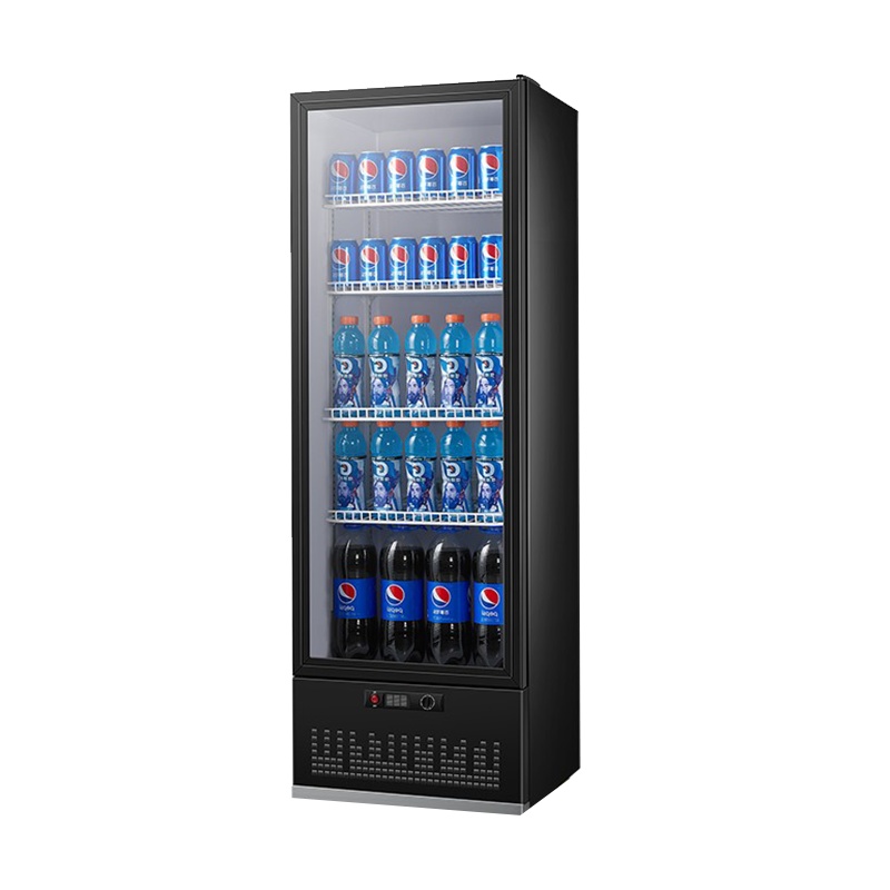 德玛仕(DEMASHI) LG-300ZH冷 藏柜保 鲜柜展 示 柜(单门 立式冰柜 留样柜)