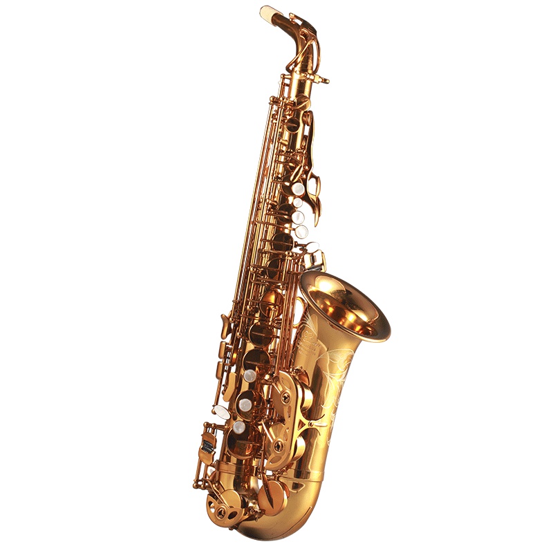 Rollinsax罗林斯中音萨克斯乐器 9901 正品成人降e调 黄铜萨克斯管/风 初学演奏通用 漆金款