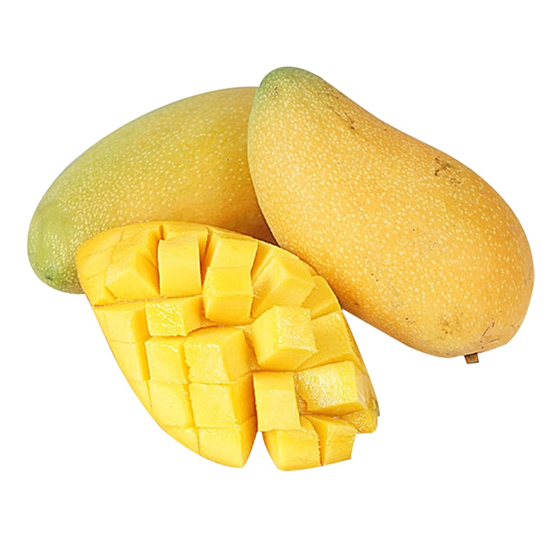 [鲜贝达生鲜] 广西金煌芒水仙芒果5斤装大果300g+(7-9个) 时令新鲜水果产地直发