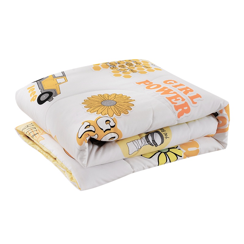 龙之涵 龙之涵[LONGZHIHAN]夏季空调被夏凉被单双人夏季薄被子儿童卡通幼儿园宝宝被