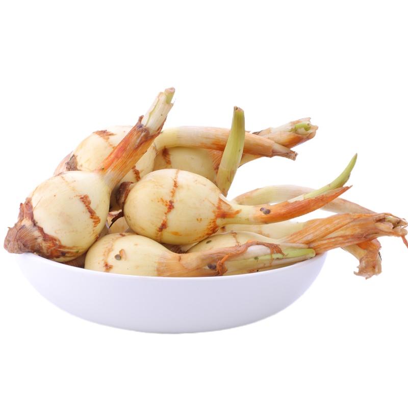 博多客 (实发6斤)特产新鲜白茨菰5斤 白马蹄白茨菇慈姑 慈菇 慈菰 生鲜