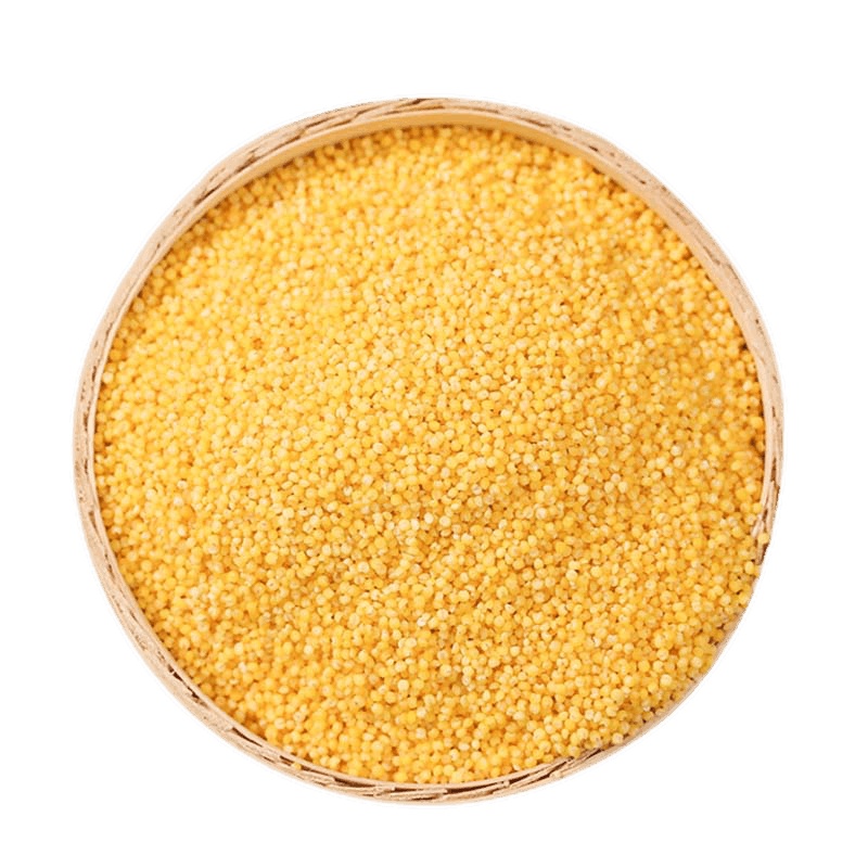 东北黄小米 小米粥新米 500g*2 五谷杂粮东北粗粮农家小黄米月子米养胃小米粥新米