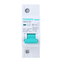 天正电气 TGBIN-125 1P C 125A 6kA AC230V 01060280008 微型断路器