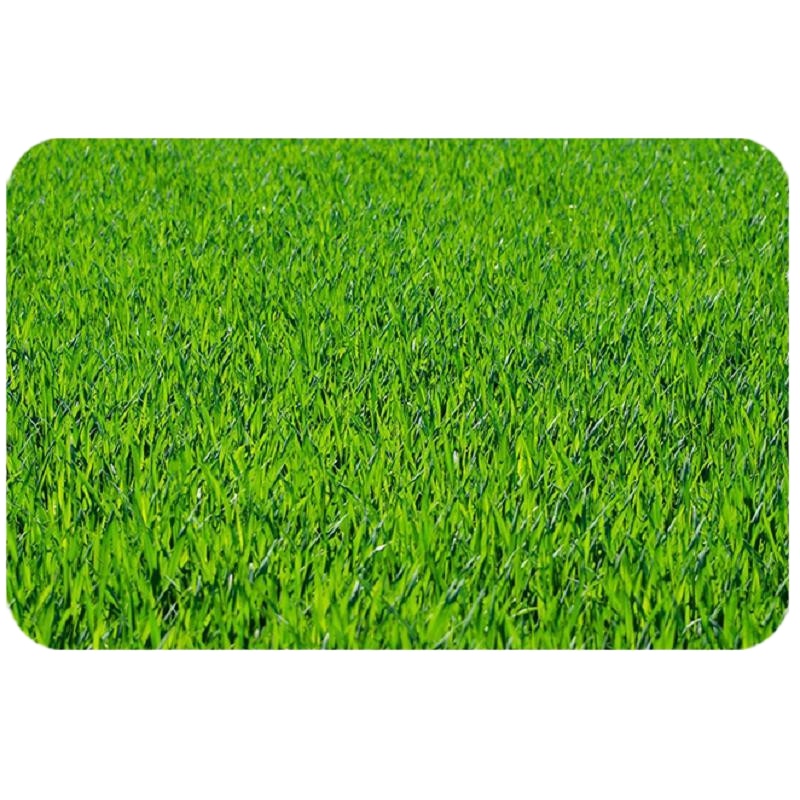 白寅 绿化草籽(单位:公斤)