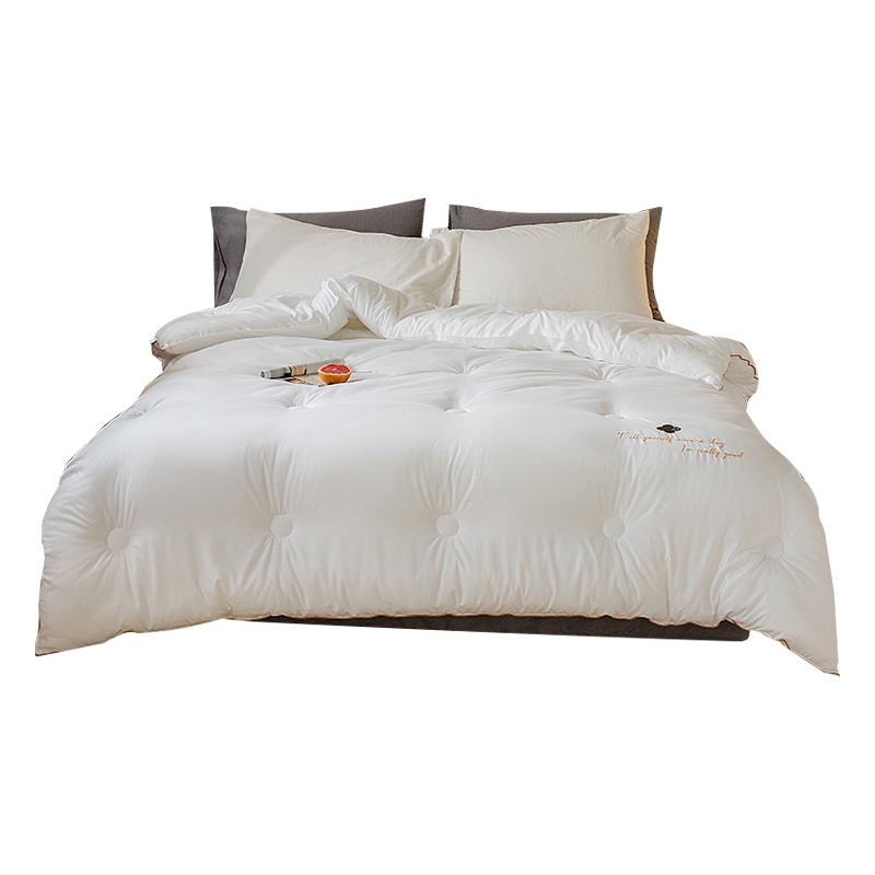 北极绒 柔软舒适水洗棉极绒抗菌被冬被保暖单人双人春秋被