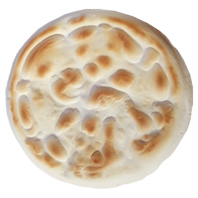 白吉馍白吉饼肉夹馍饼原味大饼10个装坨坨馍白饼