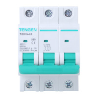 天正电气 空气开关 TGB1N-63 3P C 10A 6KA 01060270124 微型断路器
