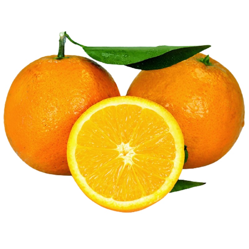 [西沛生鲜]进口南非橙 当季甜橙 净重5斤装 进口生鲜水果 甜蜜多汁 西沛