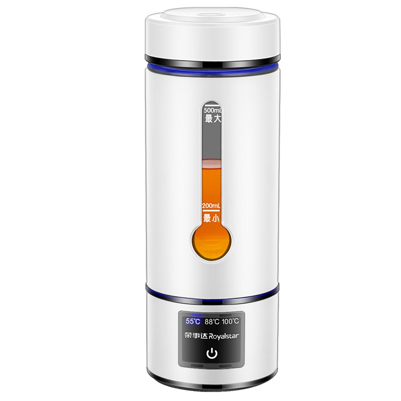 荣事达 迷你养生杯养生壶电热水杯 办公室家用旅行便携煮茶器烧水壶小型花茶壶 电水壶RS-CP3002
