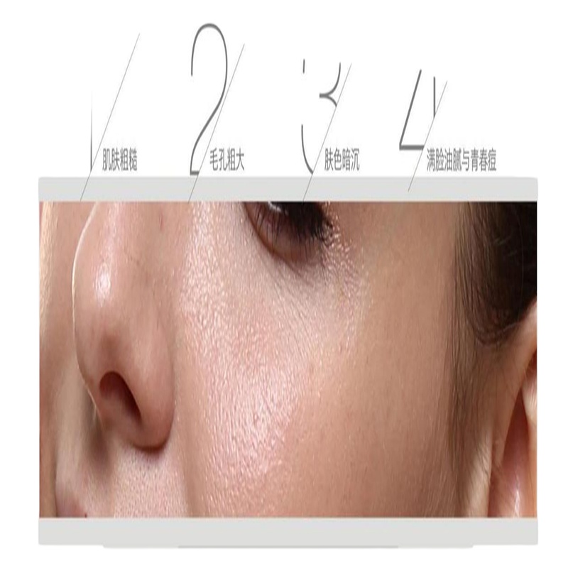 LIFETRONS 励富创 纳米雾化美颜仪 NS-400AS-WH1