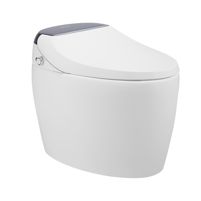 夏普(SHARP)智能坐便器VZ-AGK65G-W虹吸式多功能全自动冲水遥控除臭烘干助便日本品牌即热一体式坐便器