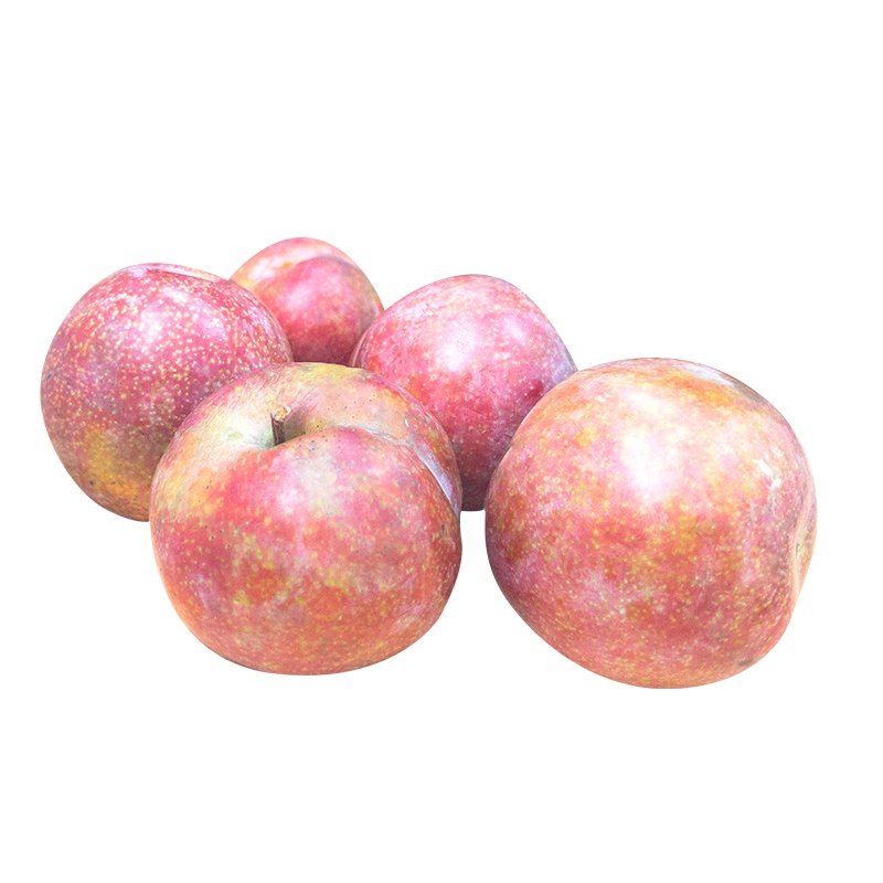 [现摘现发][绿色食品认证]云南元江高原三华李 汁水丰富 生津止渴