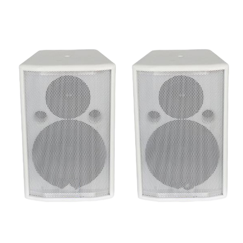 美国RBX 音箱 AQ-6