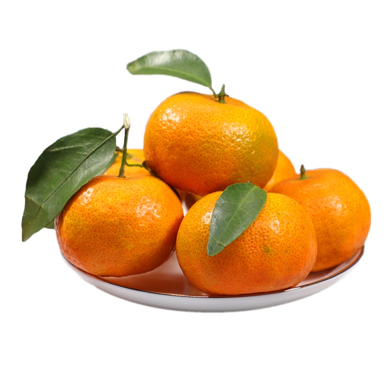 广西凌云砂糖橘5斤新鲜当季水果沙糖蜜桔