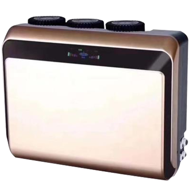 方蓝圆淼(FYLM)直饮净水器 金色FYLM-600B RO反渗透双芯大通家用厨下式壁挂式 大通量