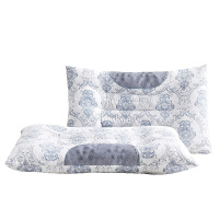 北极绒(Bejirog)家纺 决明子枕芯枕头磁石枕学生宿舍单人护颈枕适用秋季冬季其他成人枕头一对拍2