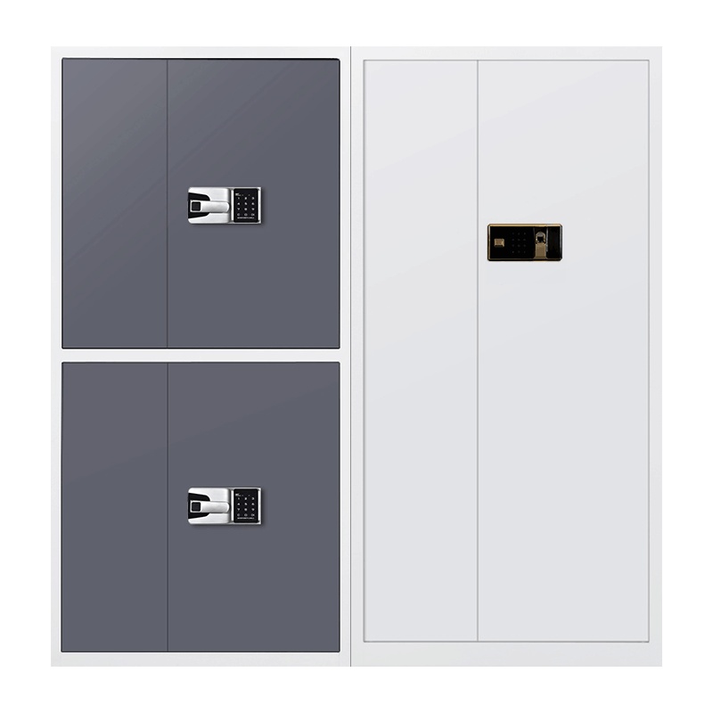 苏彩保密柜国宝锁文件柜资料柜钢制带锁储物柜双保险电子指纹锁密码锁防盗铁皮柜灰白色