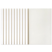 得力 3866 热熔封套 (10个装)